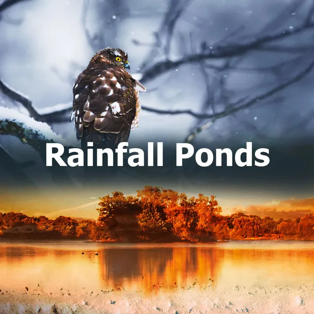 Rainfall Ponds