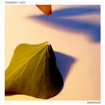 Immersion by Transient Lines