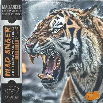 MAD ANGER by Vince Dp