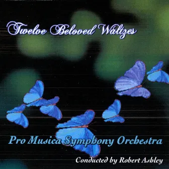 Twelve Beloved Waltzes by Robert Ashley