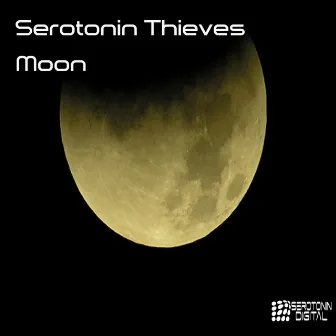 Moon by Serotonin Thieves