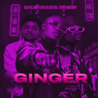 Ginger by Dabo Williams