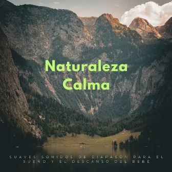 Naturaleza Calma: Suaves Sonidos De Diapasón Para El Sueño Y El Descanso Del Bebé by Grillos del bosque