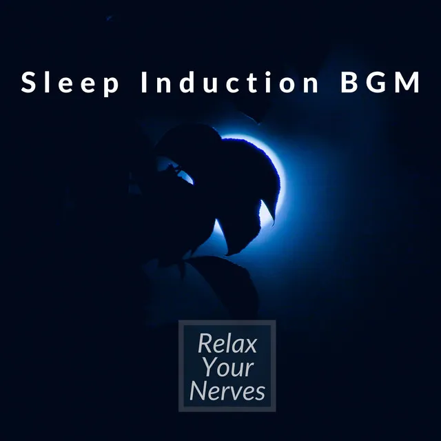 Sleep Induction BGM -Relax Your Nerves-