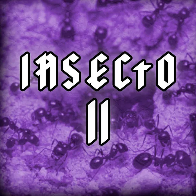 Insecto 2