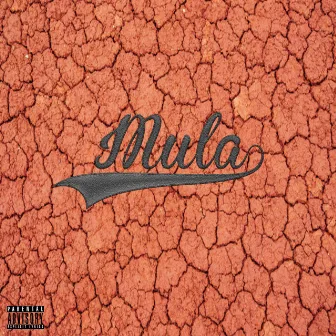 Smooth Operator by Vell Mula