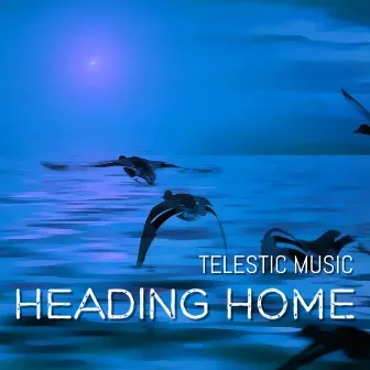 Heading Home (Ardolf Remix) by Telestic Music