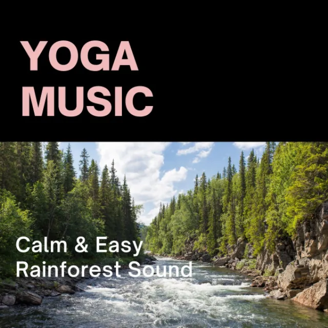 Yoga Music: Calm & Easy Rainforest Sound