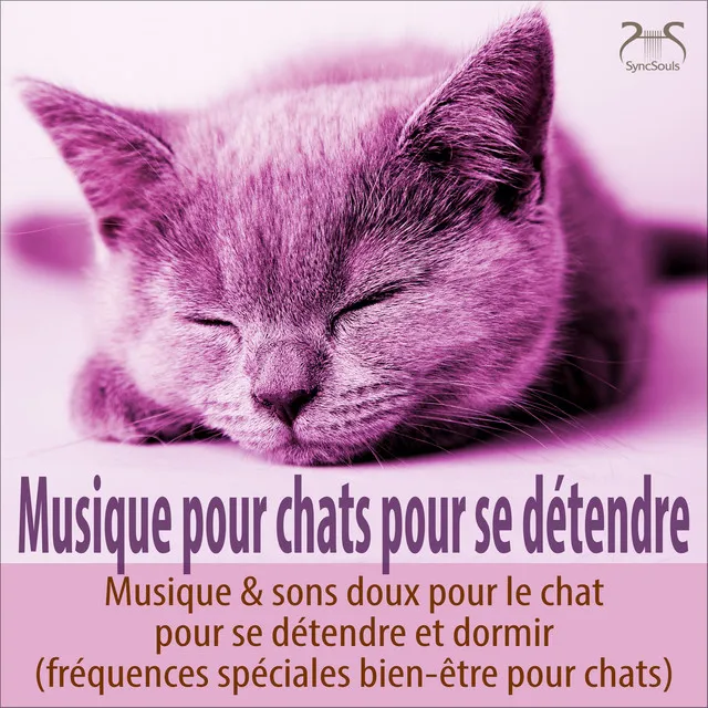 Musique apaisante pour chats avec bruits de jardin, bruissements et ronronnements, sans basses fréquences