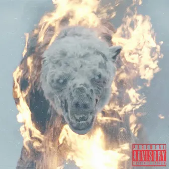 Tommy Targaryen EP by Boss Man Tommy