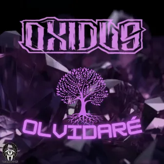 Olvidaré by Oxidus