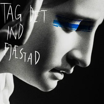 Tag Det Ind by Bjørn Fjæstad