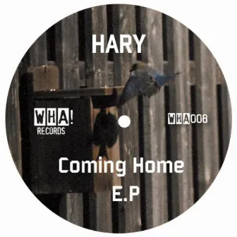 Home Coming by Hary