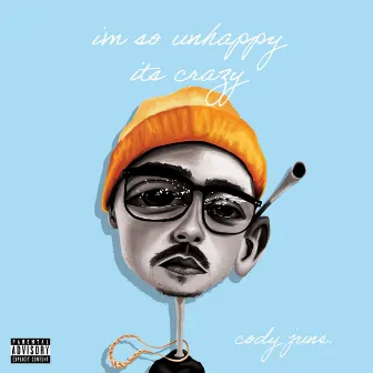 I'm So Unhappy, It's Crazy by Cody June