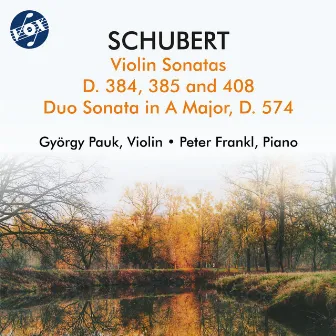 Schubert: Violin Sonatas, D. 384, 385, 408 & 574 by György Pauk