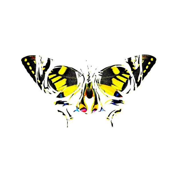 Papillon