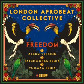 Freedom by London Afrobeat Collective