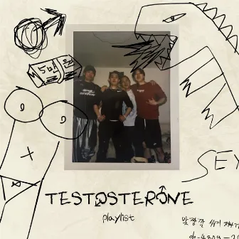 Testosterone Playlist by 낙민초이