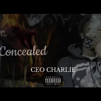 Concealed by CEO Charlie