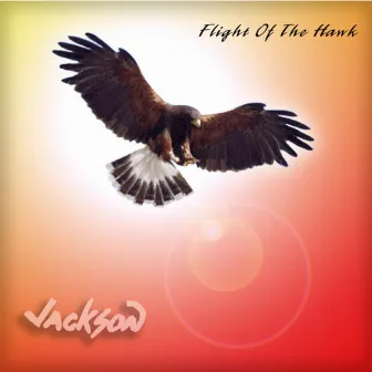 Flight of the Hawk by Robert Jackson