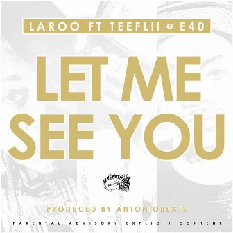 Let Me See You by Laroo