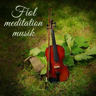 Fiol meditation musik (Avkopplande instrumentalljud, Lugnande fiol och piano med naturljud, Sova och meditera bättre) by Naturliga Ljudterapi Masters