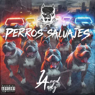 Perros Salvajes by Lord Andy