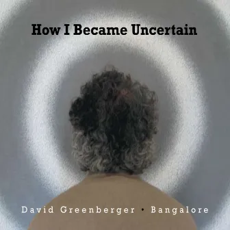 How I Became Uncertain by David Greenberger