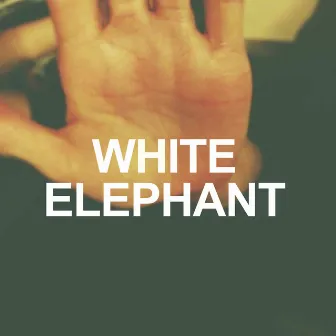 Don't Change Your Way by White Elephant