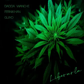 Liberarla by Dadda Wanche