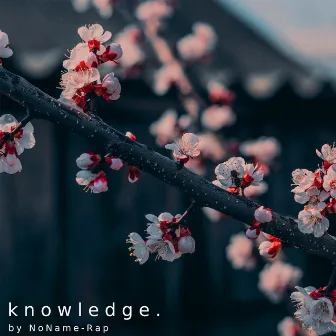 Knowledge by NoName-Rap