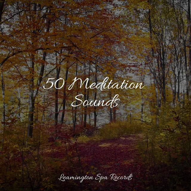 50 Meditation Sounds