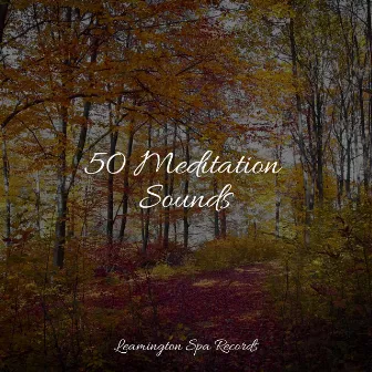 50 Meditation Sounds by Happy Baby Lullaby Collection