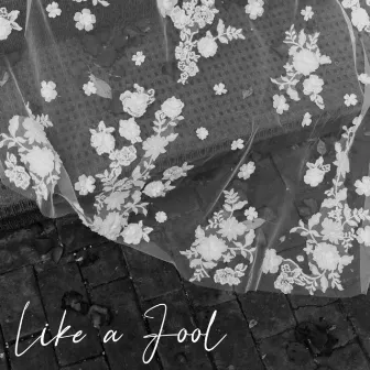 Like a Fool by Kiera Loveless