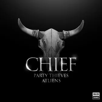 Chief by ATLiens