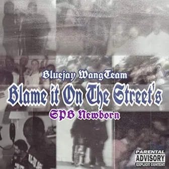 Blame It On The Streets (feat. Spb Newborn) by BluejayWangTeam