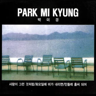 On Tuesday, When It Rains by Park Mi Kyung