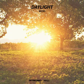 Daylight by Moxi