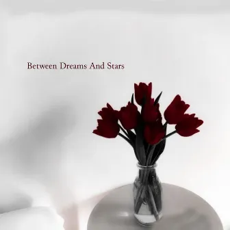 Between Dreams And Stars by Trio From Rio