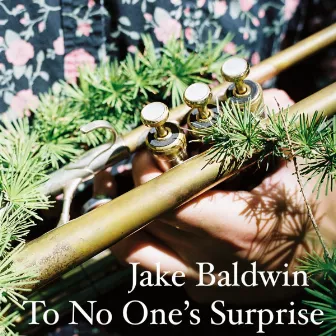 To No One's Surprise by Jake Baldwin