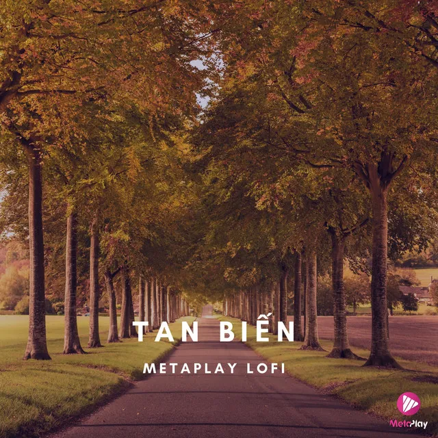 Tan Biến (Metaplay Lofi)