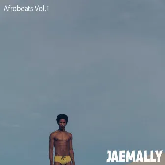 Afrobeats Vol.1 by Jaemally