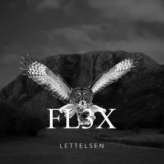 Lettelsen by FL3X