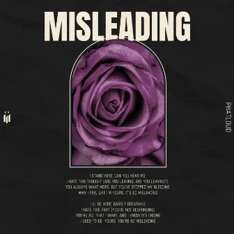 Misleading by iïi