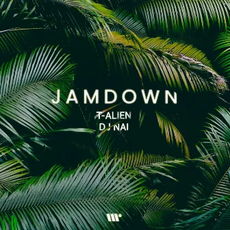 Jamdown by DJ Nai