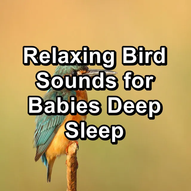 Flying Birds Sounds