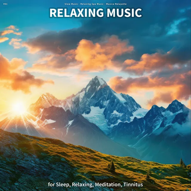 #01 Relaxing Music for Sleep, Relaxing, Meditation, Tinnitus