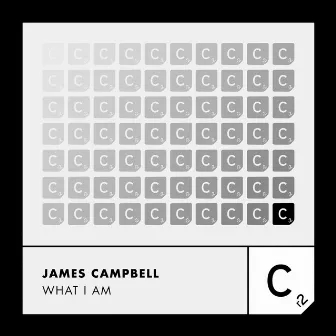 What I Am by James Campbell