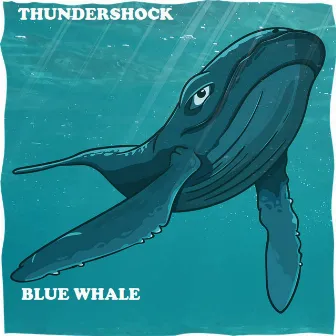 Blue Whale by THUNDERSHOCK