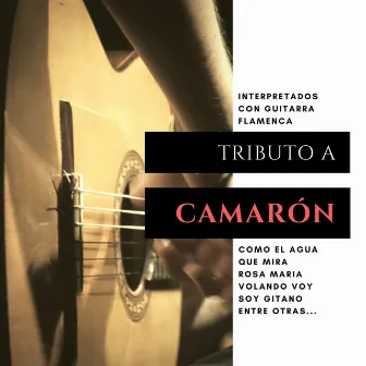 Tributo a Camarón by José Marín